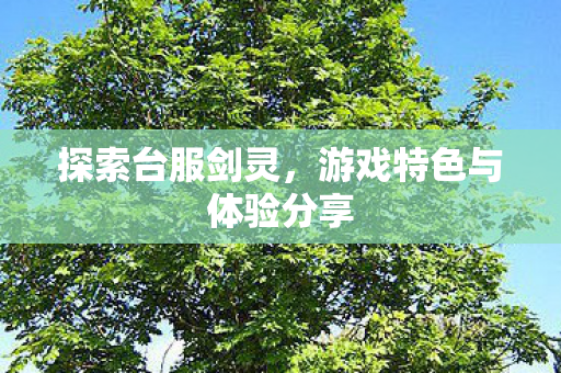 探索台服剑灵，游戏特色与体验分享