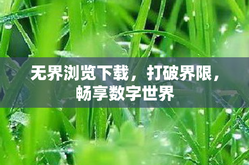 无界浏览下载，打破界限，畅享数字世界
