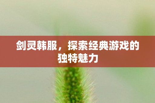 剑灵韩服，探索经典游戏的独特魅力