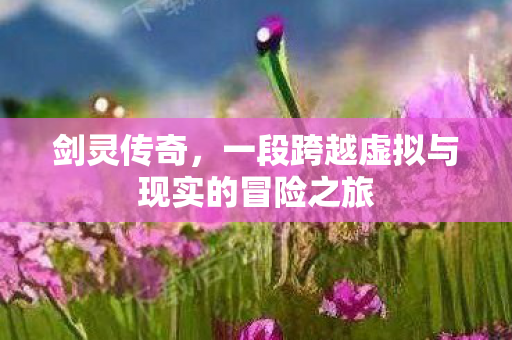 剑灵传奇，一段跨越虚拟与现实的冒险之旅