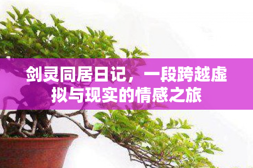 剑灵同居日记,一段跨越虚拟与现实的情感之旅 剑灵同居日记,一段跨越虚拟与现实的情感之旅