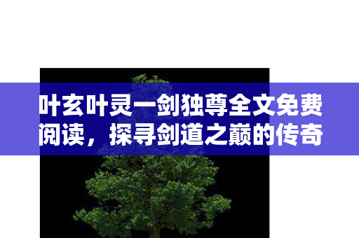 叶玄叶灵一剑独尊全文免费阅读，探寻剑道之巅的传奇之旅