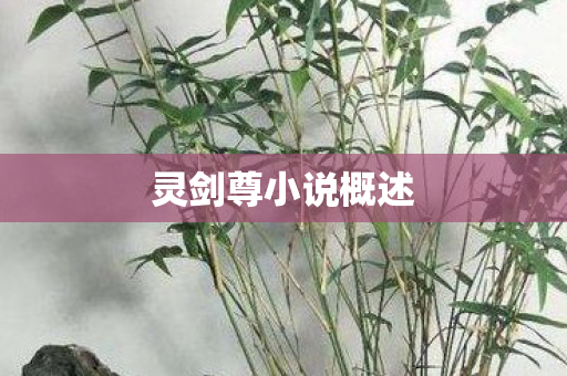 灵剑尊小说概述