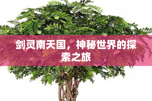 剑灵南天国，神秘世界的探索之旅