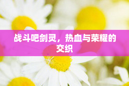 战斗吧剑灵，热血与荣耀的交织