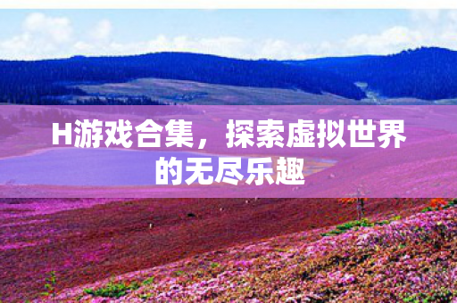H游戏合集，探索虚拟世界的无尽乐趣