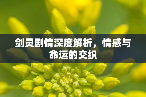 剑灵剧情深度解析,情感与命运的交织 剑灵剧情深度解析,情感与命运的交织