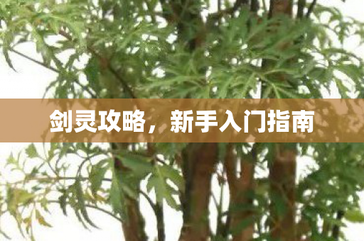 剑灵攻略，新手入门指南