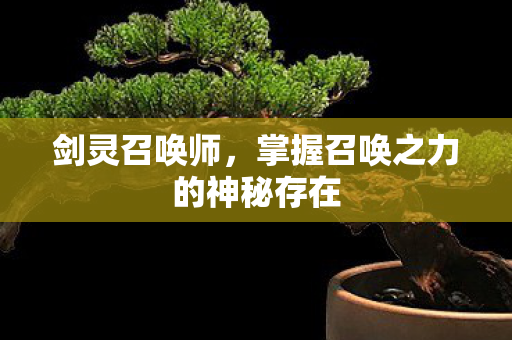 剑灵召唤师,掌握召唤之力的神秘存在 剑灵召唤师,掌握召唤之力的神秘存在