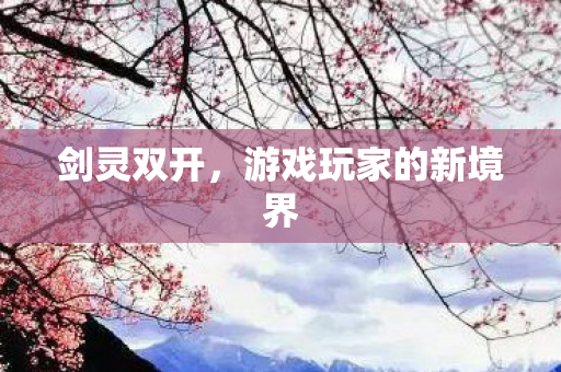 剑灵双开，游戏玩家的新境界