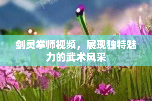剑灵拳师视频，展现独特魅力的武术风采