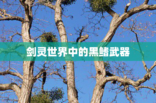 剑灵世界中的黑鳍武器