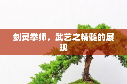 剑灵拳师，武艺之精髓的展现