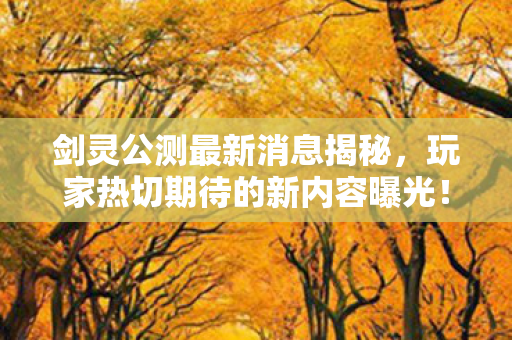 剑灵公测最新消息揭秘，玩家热切期待的新内容曝光！