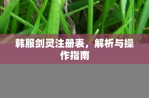 韩服剑灵注册表，解析与操作指南
