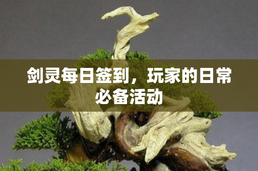 剑灵每日签到，玩家的日常必备活动