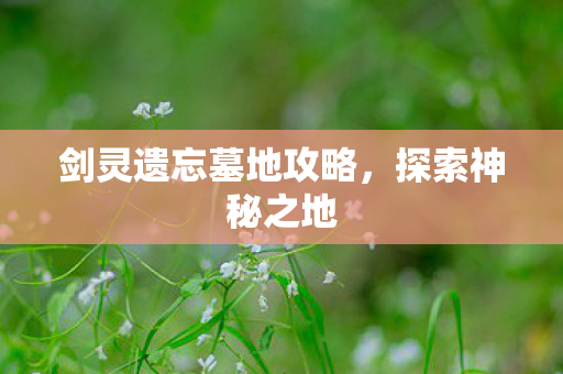 剑灵遗忘墓地攻略，探索神秘之地