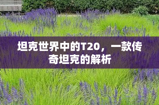 坦克世界中的T20,一款传奇坦克的解析 坦克世界中的T20,一款传奇坦克的解析