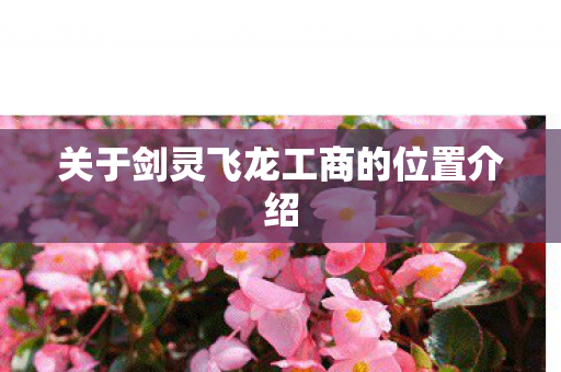 关于剑灵飞龙工商的位置介绍