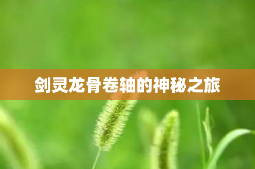 剑灵龙骨卷轴的神秘之旅 剑灵龙骨卷轴的神秘之旅