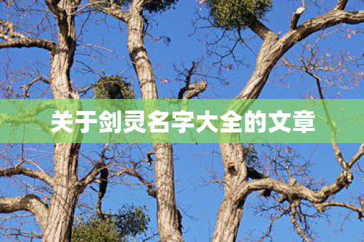 关于剑灵名字大全的文章