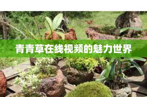青青草在线视频的魅力世界 青青草在线视频的魅力世界