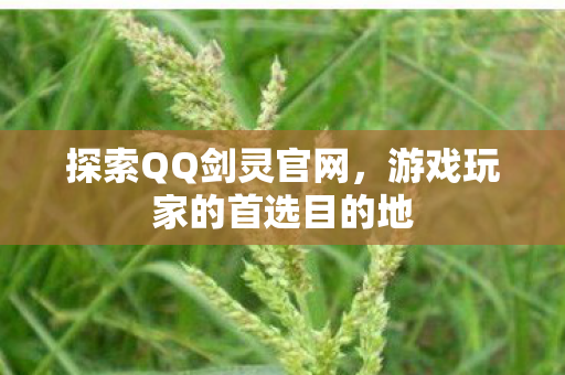 探索QQ剑灵官网，游戏玩家的首选目的地