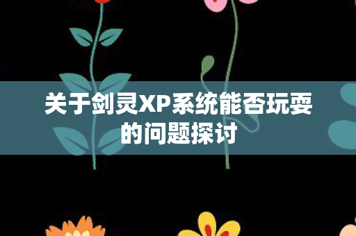 关于剑灵XP系统能否玩耍的问题探讨
