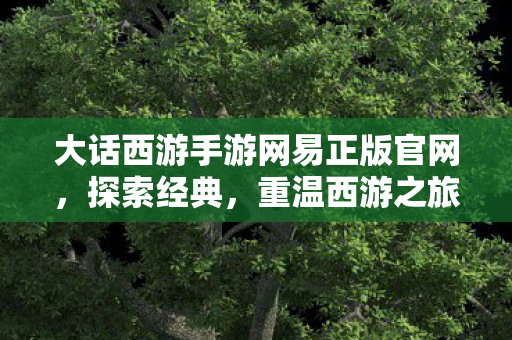 大话西游手游网易正版官网，探索经典，重温西游之旅