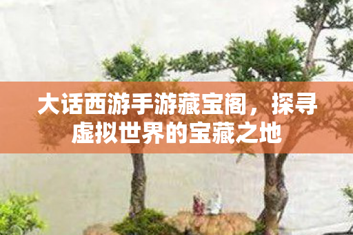 大话西游手游藏宝阁，探寻虚拟世界的宝藏之地