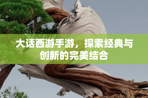 大话西游手游,探索经典与创新的完美结合 大话西游手游,探索经典与创新的完美结合