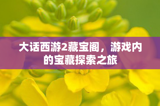 大话西游2藏宝阁，游戏内的宝藏探索之旅