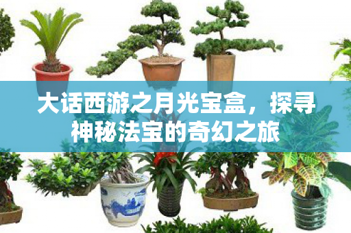 大话西游之月光宝盒，探寻神秘法宝的奇幻之旅
