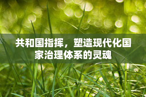 共和国指挥,塑造现代化国家治理体系的灵魂 共和国指挥,塑造现代化国家治理体系的灵魂