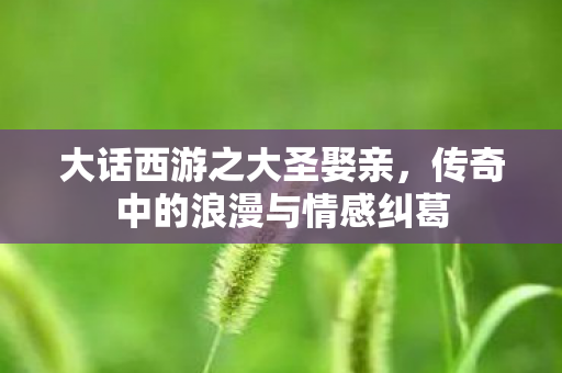 大话西游之大圣娶亲，传奇中的浪漫与情感纠葛