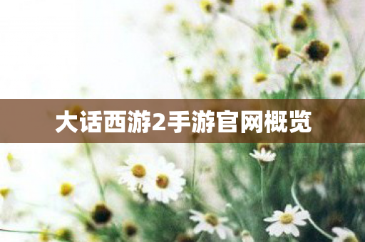 大话西游2手游官网概览