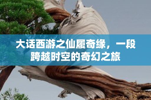 大话西游之仙履奇缘，一段跨越时空的奇幻之旅