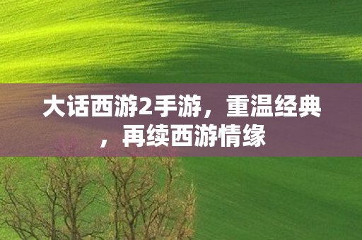 大话西游2手游，重温经典，再续西游情缘