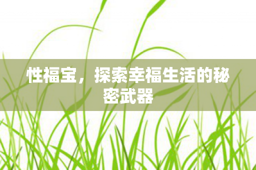 性福宝,探索幸福生活的秘密武器 性福宝,探索幸福生活的秘密武器