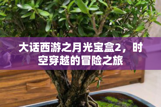 大话西游之月光宝盒2，时空穿越的冒险之旅