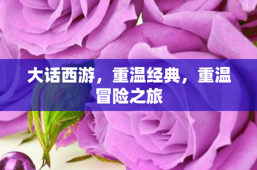 大话西游,重温经典,重温冒险之旅 大话西游,重温经典,重温冒险之旅