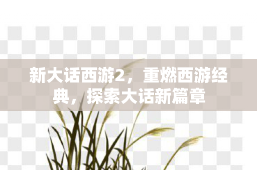 新大话西游2，重燃西游经典，探索大话新篇章