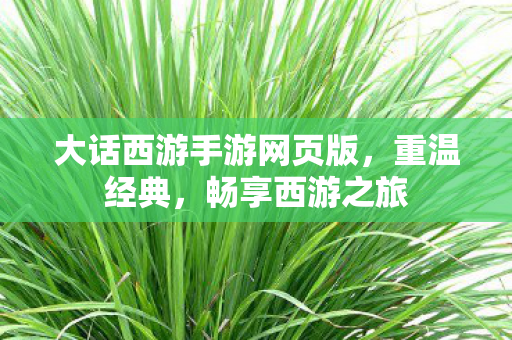 大话西游手游网页版，重温经典，畅享西游之旅