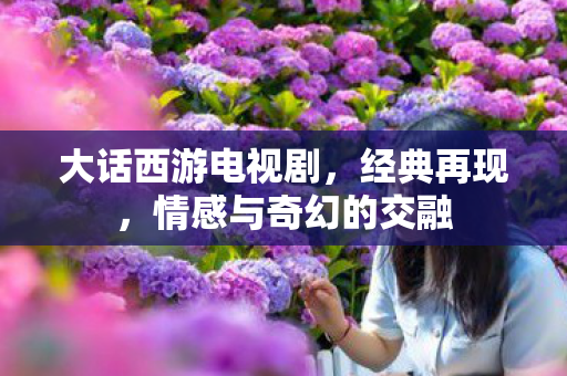 大话西游电视剧，经典再现，情感与奇幻的交融