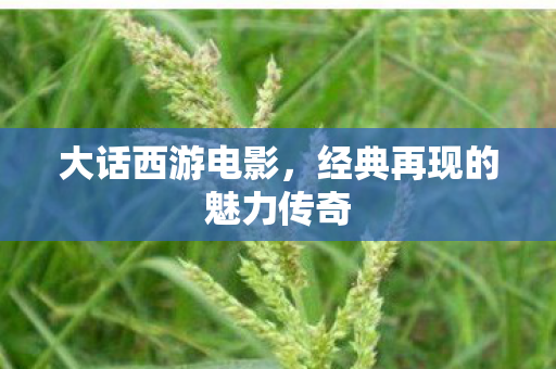 大话西游电影，经典再现的魅力传奇