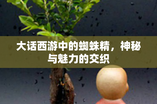 大话西游中的蜘蛛精,神秘与魅力的交织 大话西游中的蜘蛛精,神秘与魅力的交织