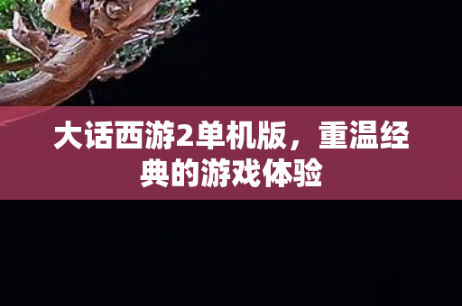 大话西游2单机版,重温经典的游戏体验 大话西游2单机版,重温经典的游戏体验