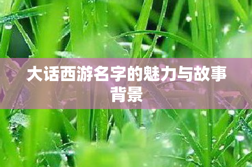 大话西游名字的魅力与故事背景