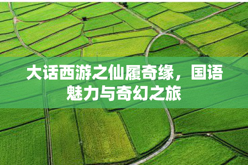 大话西游之仙履奇缘，国语魅力与奇幻之旅