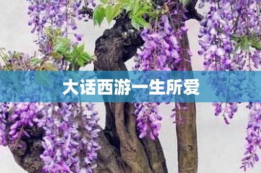 大话西游一生所爱